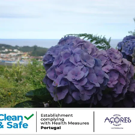 Azores Vacations T3 Apartment Ponta Delgada (Sao Miguel)